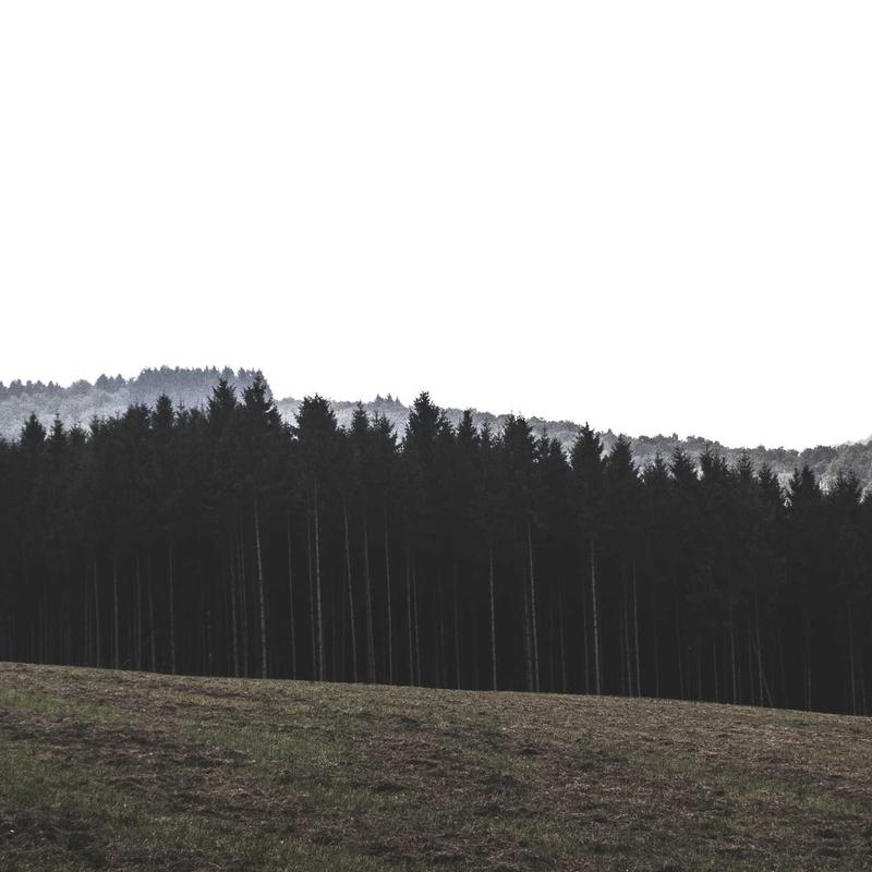 Attrape-rêves